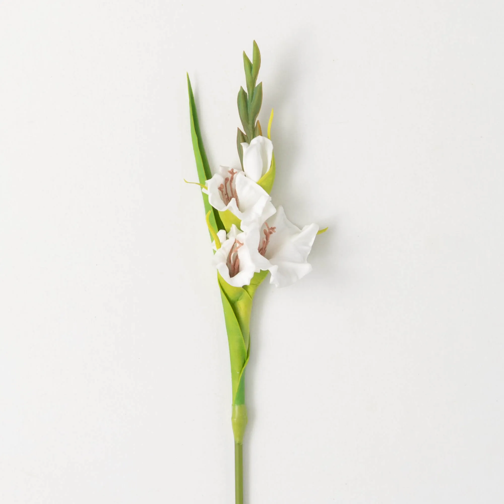 21.5"H Sullivans Dynamic Cream White Gladiola, Cream