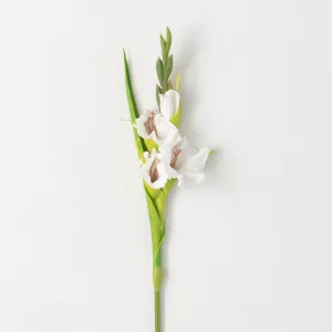 21.5"H Sullivans Dynamic Cream White Gladiola, Cream