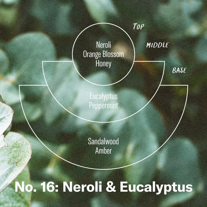 7.2oz Classic Soy Candle (Neroli & Eucalyptus)