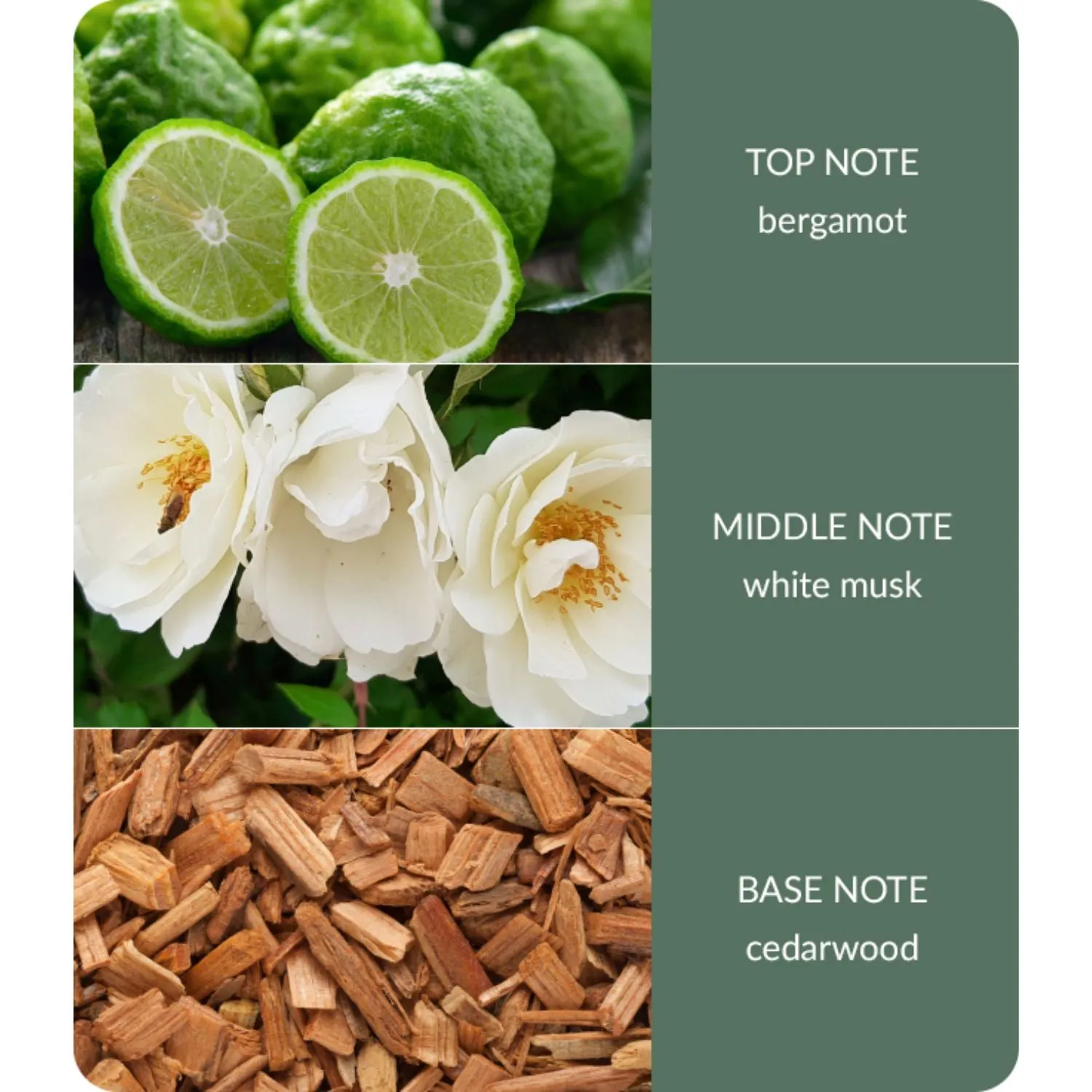 Bamboo 90ml Cedarwood & White Woods Room Fragrance Spray