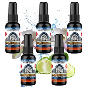 Night Queen Air Freshener Bundle (5 Pack)